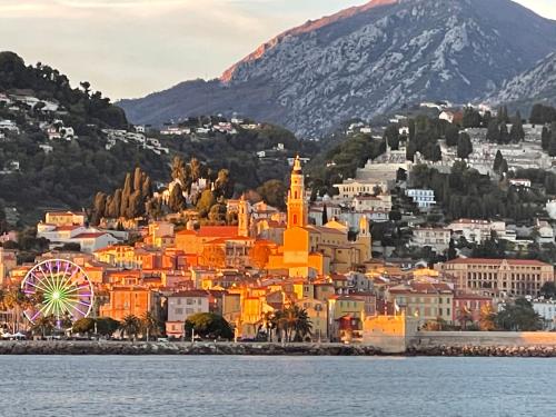 Menton Vue imprenable mer et jardin Biovès 52m2 Clim