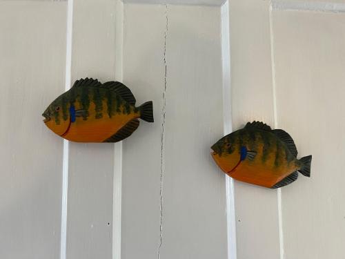 two fish hanging on a wall at Shoreham Inn Bed & Breakfast in Shoreham