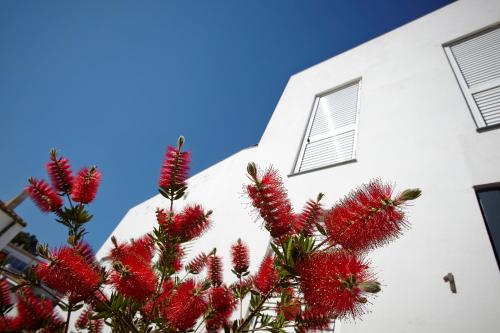 Gambar di galeri bagi Canvas Apartments&Lofts di Cadaqués