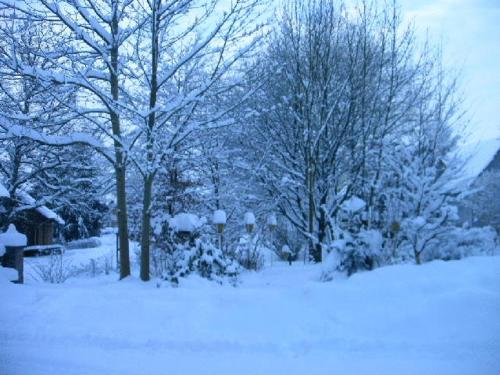 a snow covered park with trees and a bench at Waldpension zum Felsenkeller in Lichtenfels-Sachsenberg