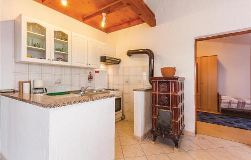 een keuken met een wastafel en een fornuis. bij Awesome Apartment In Rebici-barban With Wifi in Rebići