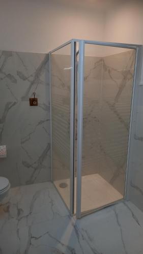 une douche avec une porte vitrée dans une salle de bain dans l'établissement L'OCCITANE appartement climatisé centre ville, à Limoux