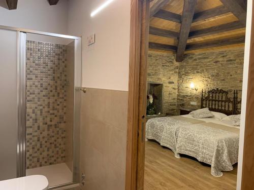 a bedroom with a bed and a walk in shower at Casa do Horreo in O Pino 