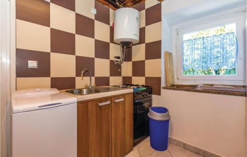 מטבח או מטבחון ב-Nice Home In Stinica With Kitchen