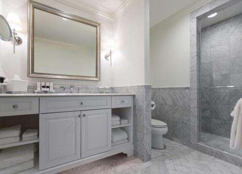 a bathroom with a toilet, sink, and mirror at The Charleston Place in Charleston