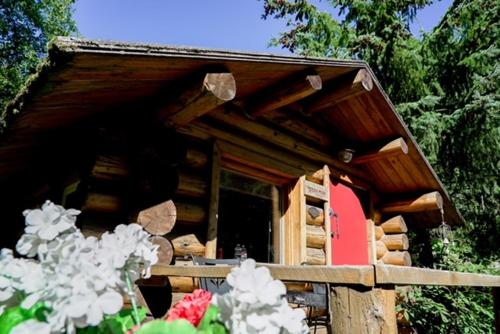 a log cabin with a roof with flowers in front of it at Hope Alaska's Bear Creek Lodge in Hope