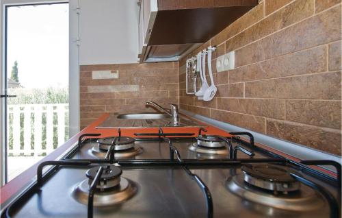 Majoituspaikan Awesome Apartment In Crna Punta With Kitchen keittiö tai keittotila