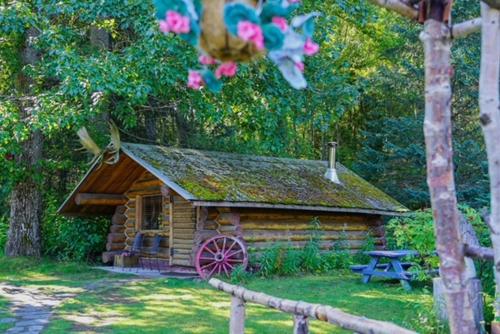 a log cabin with a picnic table in front of it at Hope Alaska's Bear Creek Lodge in Hope