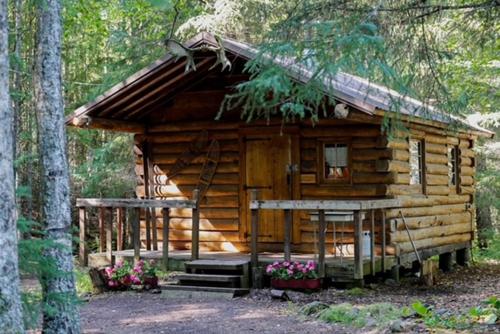 a log cabin in the middle of a forest at Hope Alaska's Bear Creek Lodge in Hope