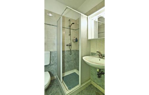 a bathroom with a shower and a sink at Beautiful Apartment In Tar-vabriga With 1 Bedrooms And Wifi in Vabriga