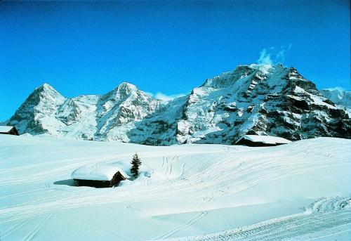 a snow covered mountain with a cabin in the snow at Happy Inn Lodge in Interlaken