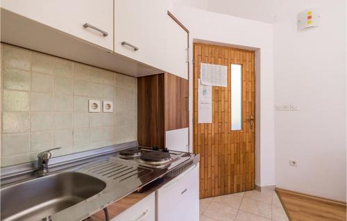 eine Küche mit einer Spüle und einer Arbeitsplatte in der Unterkunft Nice Apartment In Potocnica With 1 Bedrooms And Wifi in Borovići