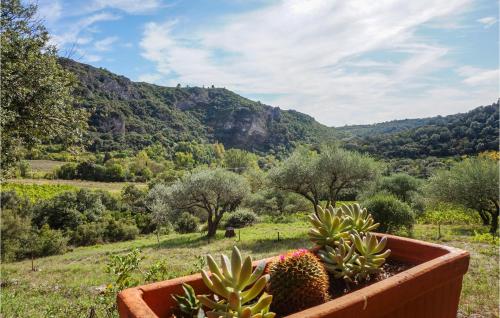 un grand pot de plantes dans un champ avec une montagne dans l'établissement 2 Bedroom Lovely Home In Roquebrun, à Roquebrun