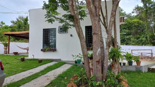 CASA CONFORTÁVEL COM 4 QUARTOS EM ALTER DO CHÃO外面的花园