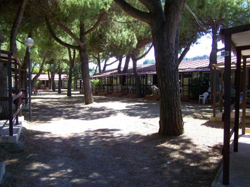 a park with trees and chairs and a building at Villaggio Costa d'Argento in San Vito Chietino