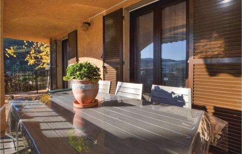 une plante en pot assise sur une table en bois sur une terrasse couverte dans l'établissement Lovely Home In Sant Petru Di Tenda, à Santo-Pietro-di-Tenda