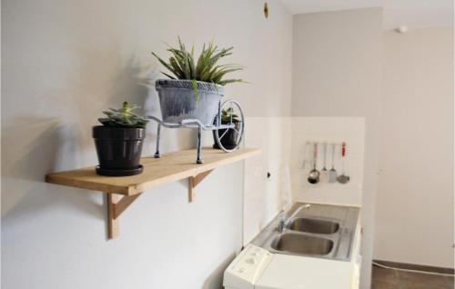 a kitchen with a sink and a bike on a shelf at Amazing Home In Sant Petru Di Tenda With House A Mountain View in Santo-Pietro-di-Tenda