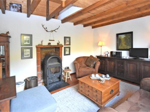 sala de estar con chimenea y estufa de leña en Vintage Holiday Home in Bad Pyrmont with Private Terrace, en Lügde