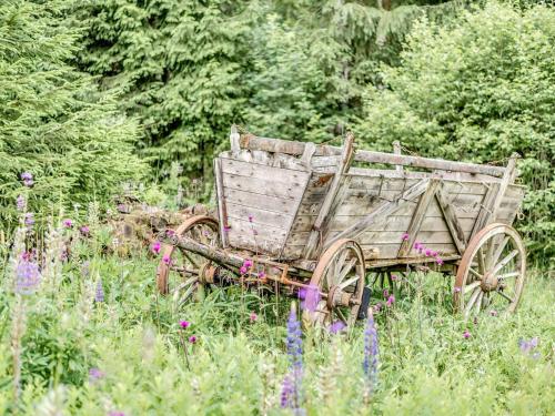 an old wooden cart sitting in a field of flowers at Retreat with Sauna, Hot Tub in Jägersgrün