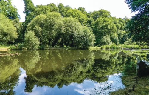 a reflection of trees in the water of a lake at Amazing Home In Guern With Wifi in Guern