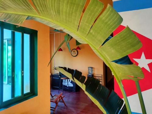 a room with a large green plant on the wall at Foshan Cuba Youth Hostel in Foshan