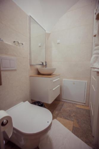 a bathroom with a white toilet and a sink at Apartman Boutique Tvrđa in Osijek