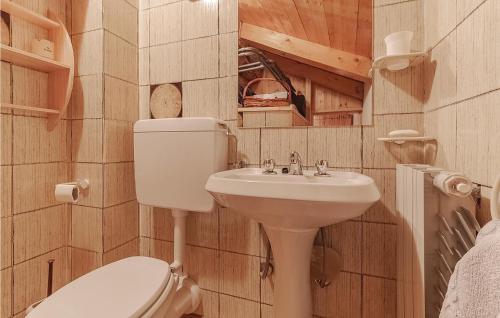 La salle de bains est pourvue de toilettes et d'un lavabo. dans l'établissement Maison Grapein, à Cogne