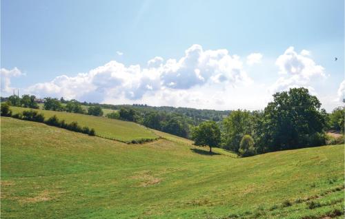 un champ verdoyant avec des arbres au-dessus dans l'établissement Awesome Home In La-Chapelle-Saint-Jean, à La Chapelle-Saint-Jean