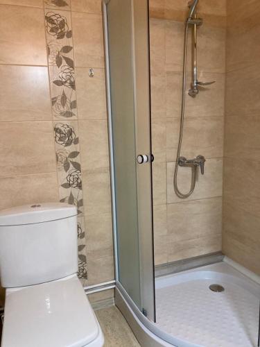 a bathroom with a toilet and a shower at Casa Ambasadorului in Bran