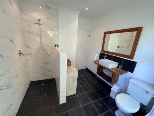 a bathroom with a toilet and a sink at Silvermist Wine Estate in Cape Town