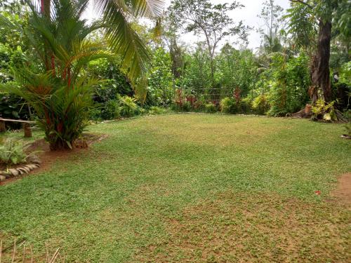 a yard with a large lawn with trees and plants at Charly Villa in Haburugala