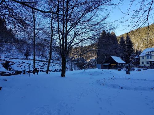 a snow covered yard with a house and trees at Spacious Haven in Wildemann in Wildemann