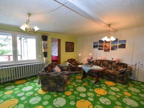 a living room with couches and a table on a green carpet at Holiday home in Cattenstedt Harz with garden in Cattenstedt