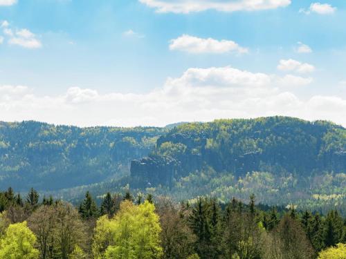 Blick auf eine Bergkette mit Bäumen und Wäldern in der Unterkunft Holiday home right in the heart of Saxon Switzerland with garden pool and amazing view in Mittelndorf