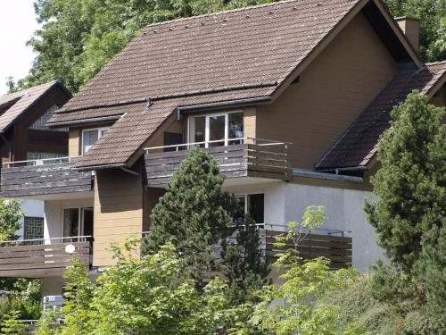 ザンクト・アンドレーアスベルクにあるElite Apartment in Sankt Andreasberg near Ski Areaの屋根の家