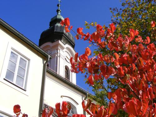 a building with a clock tower with red flowers at Haus der Begegnung Heilig Geist in Burghausen