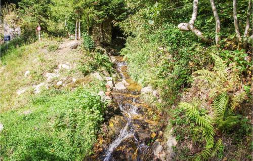 a small waterfall in the middle of a forest at La Féculerie in Grandrif