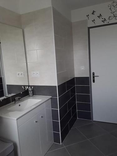 une salle de bain avec un lavabo, un miroir et une douche dans l'établissement Villa en bordure de forêt ., à Onesse-et-Laharie