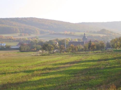 Příroda nedaleko apartmánu
