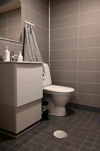 a bathroom with a toilet and a sink at Willa Rauha G, minikoti rauhallisella sijainnilla, ei saunaa in Lumijoki