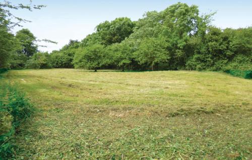 un champ d'herbe planté d'arbres en arrière-plan dans l'établissement 3 Bedroom Cozy Home In Brucheville, à Brucheville