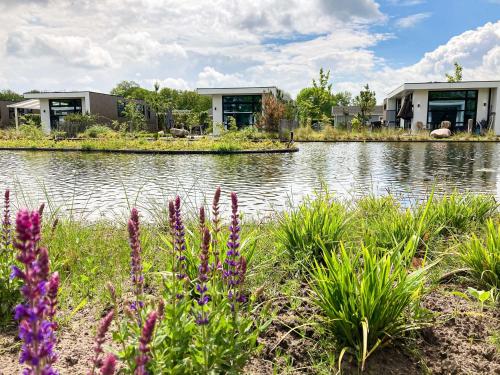 a lake with houses and flowers in front of it at Résidence de Leuvert in Cromvoirt