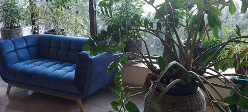 a blue couch sitting in a room with plants at Sky High Hotel Airport 200 meters from the terminal in Rīga