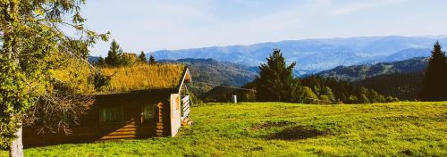 a small building with a grass roof on a field at Domek Eliaszówka in Piwniczna-Zdrój