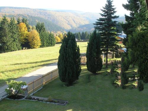 un grupo de árboles en un campo con una valla en Flat near the forest in Frauenwald Thuringia, en Frauenwald