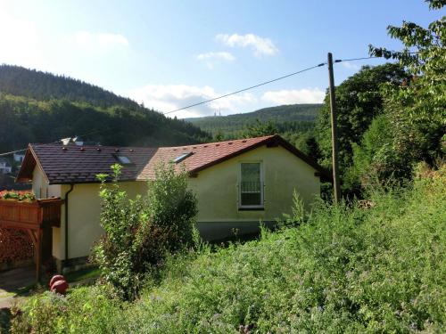 WintersteinにあるCottage near a ski resortの山を背景にした小さな黄色い家