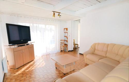 TV a/nebo společenská místnost v ubytování 3 Bedroom Stunning Home In Théziers