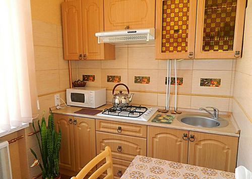 Kuchyň nebo kuchyňský kout v ubytování Apartments Zatyshok