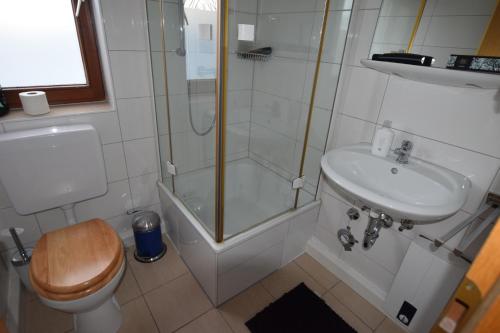 a bathroom with a shower and a toilet and a sink at AB Apartment Waiblingen in Waiblingen