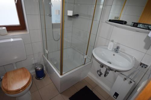 a bathroom with a shower and a toilet and a sink at AB Apartment Waiblingen in Waiblingen